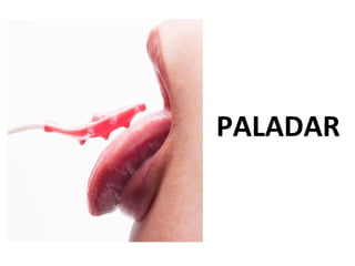 PALADAR
 