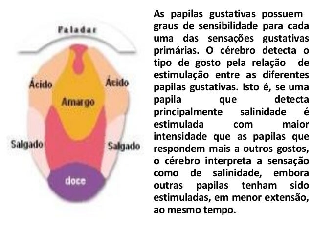 Sentidos paladar
