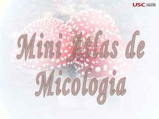 Mini Atlas de  Micologia 