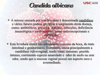 A micose causada por esta levedura é denominada  candidíase  e vários fatores podem provocar o surgimento desta doença, como: antibióticos, gravidez, diabetes, infecções, deficiência imunológica e medicamentos como anticoncepcionais e corticóides.  Esta levedura cresce nas membranas mucosas da boca, do trato intestinal e geniturinário. Entretanto, causa principalmente a candidíase vulvovaginal, tendo como sintomas: prurido intenso, corrimento espesso amarelado e  odor de mofo ou sem odor, sendo que a mucosa vaginal possui um aspecto seco e avermelhado. Candida albicans 