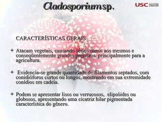 CARACTERÍSTICAS GERAIS Atacam vegetais, causando sérios danos aos mesmos e conseqüentemente grandes prejuízos, principalmente para a agricultura. Evidencia-se grande quantidade de filamentos septados, com conidióforos curtos ou longos, mostrando em sua extremidade conídios em cadeia. Podem se apresentar lisos ou verrucosos,  elipsóides ou globosos, apresentando uma cicatriz hilar pigmentada característica do gênero. Cladosporium  sp. 