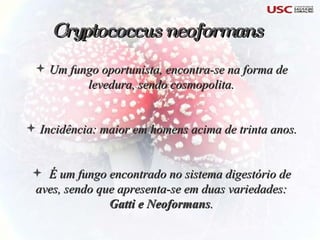 Um fungo oportunista, encontra-se na forma de levedura, sendo cosmopolita. Incidência: maior em homens acima de trinta anos. É um fungo encontrado no sistema digestório de aves, sendo que apresenta-se em duas variedades:  Gatti e Neoformans . Cryptococcus neoformans 