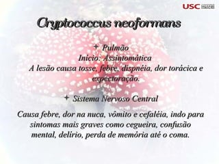 Pulmão Início: Assintomática  A lesão causa tosse, febre, dispnéia, dor torácica e expectoração. Sistema Nervoso Central Causa febre, dor na nuca, vômito e cefaléia, indo para sintomas mais graves como cegueira, confusão mental, delírio, perda de memória até o coma. Cryptococcus neoformans 