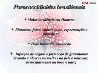 Maior incidência em Homens Sintomas: febre, suores, tosse, expectoração e falta de ar Pode haver disseminação Infecção de órgãos e formação de granulomas levando a úlceras vermelhas na pele e mucosas, particularmente na boca e nariz Paracoccidioides brasiliensis 