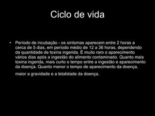 Ciclo de vida Período de incubação - os sintomas aparecem entre 2 horas a cerca de 5 dias, em período médio de 12 a 36 horas, dependendo da quantidade de toxina ingerida. É muito raro o aparecimento vários dias após a ingestão do alimento contaminado. Quanto mais toxina ingerida, mais curto o tempo entre a ingestão e aparecimento da doença. Quanto menor o tempo de aparecimento da doença, maior a gravidade e a letalidade da doença .   
