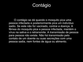 Contágio O contágio se dá quando o mosquito pica uma pessoa infectada e posteriormente pica um indivíduo sadio. Se este não for vacinado, contrai a doença. A fêmea do mosquito pica a pessoa infectada, mantém o vírus na saliva e o retransmite. A transmissão de pessoa para pessoa não existe. Não há transmissão pelo contato de um doente ou suas secreções com uma pessoa sadia, nem fontes de água ou alimento. 