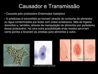 Causador e Transmissão Causada pelo protozoário Entamoeba histolytica  A amebíase é transmitida ao homem através do consumo de alimentos ou água contaminados por fezes com cistos amebianos, falta de higiene domiciliar e, também, através da manipulação de alimentos por portadores desse protozoário. Há uma outra possibilidade onde insetos serviriam como pontes e levariam as amebas para alimentos e outro.   3.bp.blogspot.com/ www.acsmedchem.org/module www.med-chem.com 