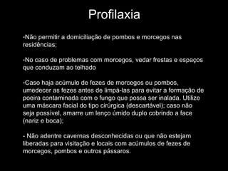 Profilaxia Não permitir a domiciliação de pombos e morcegos nas residências; No caso de problemas com morcegos, vedar frestas e espaços que conduzam ao telhado Caso haja acúmulo de fezes de morcegos ou pombos, umedecer as fezes antes de limpá-las para evitar a formação de poeira contaminada com o fungo que possa ser inalada. Utilize uma máscara facial do tipo cirúrgica (descartável); caso não seja possível, amarre um lenço úmido duplo cobrindo a face (nariz e boca);  - Não adentre cavernas desconhecidas ou que não estejam liberadas para visitação e locais com acúmulos de fezes de morcegos, pombos e outros pássaros.  