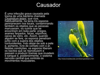 Causador É uma infecção grave causada pela toxina de uma bactéria chamada  Clostridium tetani , que vive, habitualmente, na terra.Os esporos permanecem nos locais, contaminando também os objetos que as pessoas manuseiam, ou outros que se encontram em toda parte: pregos, arames farpados, facas, espinhos, cacos de vidro, etc. Assim, quando alguém se fere, os esporos penetram junto com a sujeira dos objetos contundentes, indo alojar-se sob a pele e, portanto, livre de contato com o ar. Nestas condições, os esporos liberam os bacilos que se reproduzem e passam a produzir toxinas que invadem o sangue e, posteriormente, o sistema nervoso central que controla os movimentos musculares.   http://www.brasilescola.com/doenças/tetano.htm  