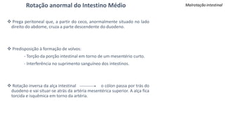 Rotação anormal do Intestino Médio
 Prega peritoneal que, a partir do ceco, anormalmente situado no lado
direito do abdome, cruza a parte descendente do duodeno.
 Predisposição à formação de volvos:
- Torção da porção intestinal em torno de um mesentério curto.
- Interferência no suprimento sanguíneo dos intestinos.
 Rotação inversa da alça intestinal o cólon passa por trás do
duodeno e vai situar-se atrás da artéria mesentérica superior. A alça fica
torcida e isquêmica em torno da artéria.
 