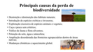 Principais causas da perda de
biodiversidade
• Destruição e diminuição dos hábitats naturais;
• Introdução de espécies exóticas e invasoras;
• Exploração excessiva de espécies animais e vegetais;
• Caça e pesca sem critérios;
• Tráfico da fauna e flora silvestres;
• Poluição do solo, água e atmosfera;
• Ampliação desordenada das fronteiras agropecuárias dentro de áreas
nativas;
• Mudanças climáticas e aquecimento global.
 