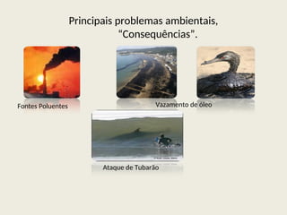 Principais problemas ambientais,
“Consequências”.
Fontes Poluentes Vazamento de óleo
Ataque de Tubarão
 