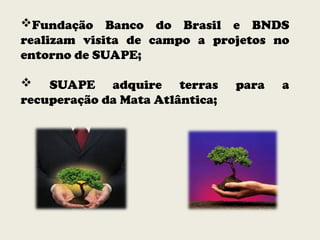 Fundação Banco do Brasil e BNDS
realizam visita de campo a projetos no
entorno de SUAPE;
 SUAPE adquire terras para a
recuperação da Mata Atlântica;
 