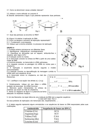 3.1. Como se denominam essas unidades básicas?
3.2. Indique o nome atribuído ao conjunto A.
4. Observe atentamente a figura 3 que pretende representar duas pentoses.
4.1. Qual das pentoses se encontra no RNA?
5. A figura 4 é relativa à replicação do DNA.
5.1.Como se designa o processo de replicação representado?
5.1.1. Fundamente a sua resposta.
5.2. Indique qual a enzima envolvida no processo da replicação.
GRUPO II
1. A síntese proteica processa-se em diferentes fases.
1.1. Identifique-as, ordenando-as cronologicamente.
1.2. Classifique as afirmações que se seguem, atribuindo-lhes o
respetivo valor lógico (V/F).
a) A tradução ocorre no núcleo.
b) A transcrição consiste na síntese do RNA a partir de uma cadeia-
molde de DNA.
c) A enzima envolvida na transcrição é o DNA polimerase.
d) A migração consiste na passagem do mRNA do núcleo para o
citoplasma.
e) A replicação é atualmente descrita segundo o modelo
semiconservativo.
f) A tradução consiste na descodificação da mensagem contida no
mRNA para uma sequência de aa.
g) A transcrição ocorre no citoplasma, ao nível dos
ribossomas.
1.2.1. Justifique a sua opção nas alíneas a), c) e g).
2. Sinteticamente, indique em que difere o mRNA
acabado de transcrever do mRNA funcional.
3. Mencione quatro intervenientes na síntese de
proteínas que atuam ao nível do citoplasma.
4. Atente ao diagrama da figura 5 e preencha de forma
adequada os respetivos espaços.
5. Um dos filamentos da dupla hélice de uma molécula de DNA tem a seguinte sequência:
5’ AAC GAT CGC TCA 3’
Os seus produtos de replicação e de transcrição são, respetivamente, ...
6. A tabela seguinte representa alguns aminoácidos e as sequências de bases no DNA responsáveis pelas suas
codificações.
 