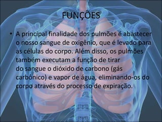 FUNÇÕES
• A principal finalidade dos pulmões é abastecer
o nosso sangue de oxigênio, que é levado para
as células do corpo. Além disso, os pulmões
também executam a função de tirar
do sangue o dióxido de carbono (gás
carbônico) e vapor de água, eliminando-os do
corpo através do processo de expiração.

 