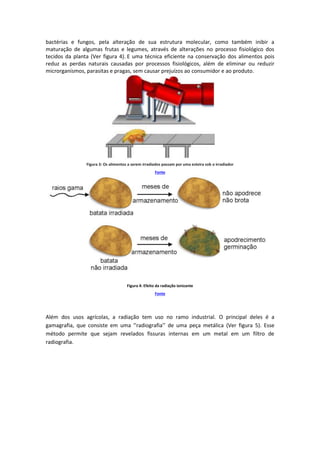 bactérias e fungos, pela alteração de sua estrutura molecular, como também inibir a
maturação de algumas frutas e legumes, através de alterações no processo fisiológico dos
tecidos da planta (Ver figura 4). E uma técnica eficiente na conservação dos alimentos pois
reduz as perdas naturais causadas por processos fisiológicos, além de eliminar ou reduzir
microrganismos, parasitas e pragas, sem causar prejuízos ao consumidor e ao produto.
Figura 3: Os alimentos a serem irradiados passam por uma esteira sob o irradiador
Fonte
Figura 4: Efeito da radiação ionizante
Fonte
Além dos usos agrícolas, a radiação tem uso no ramo industrial. O principal deles é a
gamagrafia, que consiste em uma ‘’radiografia’’ de uma peça metálica (Ver figura 5). Esse
método permite que sejam revelados fissuras internas em um metal em um filtro de
radiografia.
 