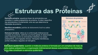 Estrutura das Proteínas
Estrutura primária: sequência linear de aminoácidos que
compõem a cadeia polipeptídica da proteína. A ordem específica
dos aminoácidos é fundamental, uma vez que determina as
interações da proteína.
Estrutura secundária: padrões de dobramento local na cadeia
polipeptídica.
Estrutura terciária: refere-se à conformação tridimensional
completa da proteína, definindo sua forma global. É determinada
pelas interações entre os aminoácidos distantes na cadeia
polipeptídica, como ligações iônicas, interações hidrofóbicas,
pontes dissulfeto e ligações de hidrogênio.
Estrutura quaternária: quando a molécula proteica é formada por um complexo de mais de
uma cadeia polipeptídica, a organização tridimensional dessas subunidades e as interações
entre elas constituem a estrutura quaternária.
 