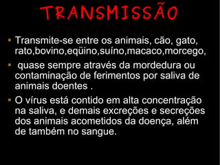 TRANSMISSÃO
   Transmite-se entre os animais, cão, gato,
    rato,bovino,eqüino,suíno,macaco,morcego,
    quase sempre através da mordedura ou
    contaminação de ferimentos por saliva de
    animais doentes .
   O vírus está contido em alta concentração
    na saliva, e demais excreções e secreções
    dos animais acometidos da doença, além
    de também no sangue.
 