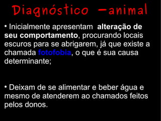 Diagnóstico -animal

 Inicialmente apresentam alteração de
seu comportamento, procurando locais
escuros para se abrigarem, já que existe a
chamada fotofobia, o que é sua causa
determinante;



 Deixam de se alimentar e beber água e
mesmo de atenderem ao chamados feitos
pelos donos.
 