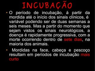 INCUBAÇÃO
   O período de incubação, à partir da
    mordida até o início dos sinais clínicos, é
    variável podendo ser de duas semanas a
    seis meses. Mas a partir do momento que
    sejam vistos os sinais neurológicos, a
    doença é rapidamente progressiva, com a
    morte ocorrendo dentro de sete dias, na
    maioria dos animais.
     Mordidas na face, cabeça e pescoço
    resultam em períodos de incubação mais
    curto
 
