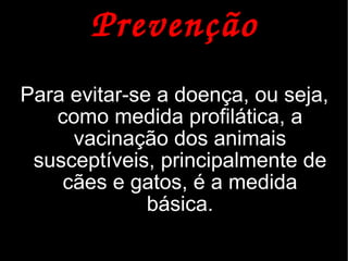 Prevenção
Para evitar-se a doença, ou seja,
   como medida profilática, a
     vacinação dos animais
 susceptíveis, principalmente de
    cães e gatos, é a medida
              básica.
 