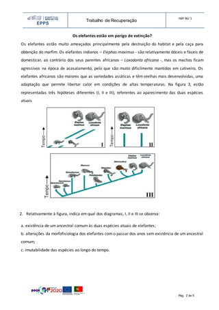 EPPS
Trabalho de Recuperação
IMP 96/ 1
Pág. 2 de 5
Os elefantes estão em perigo de extinção?
Os elefantes estão muito ameaçados principalmente pela destruição do habitat e pela caça para
obtenção do marfim. Os elefantes indianos – Elephas maximus - são relativamente dóceis e fáceis de
domesticar, ao contrário dos seus parentes africanos – Loxodonta africana -, mas os machos ficam
agressivos na época de acasalamento, pelo que são muito dificilmente mantidos em cativeiro. Os
elefantes africanos são maiores que as variedades asiáticas e têm orelhas mais desenvolvidas, uma
adaptação que permite libertar calor em condições de altas temperaturas. Na figura 3, estão
representadas três hipóteses diferentes (I, II e III), referentes ao aparecimento das duas espécies
atuais
2. Relativamente à figura, indica em qual dos diagramas, I, II e III se observa:
a. existência de um ancestral comum às duas espécies atuais de elefantes;
b. alterações da morfofisiologia dos elefantes com o passar dos anos sem existência de um ancestral
comum;
c. imutabilidade das espécies ao longo do tempo.
 