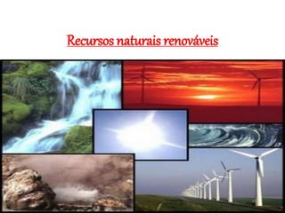 Recursos naturais renováveis
 