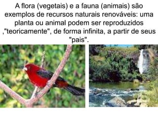A flora (vegetais) e a fauna (animais) são
exemplos de recursos naturais renováveis: uma
planta ou animal podem ser reproduzidos
,"teoricamente", de forma infinita, a partir de seus
"pais".
 