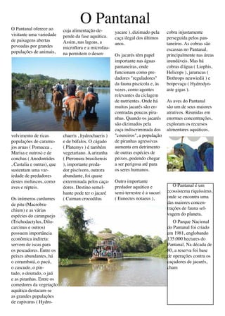 O Pantanal oferece ao
                                    O Pantanal
                            cuja alimentação de-       yacare ), dizimado pela     cobra injustamente
visitante uma variedade     pende da fase aquática.
de paisagens abertas                                   caça ilegal dos últimos     perseguida pelos pan-
                            Assim, nas lagoas, a       anos.                       taneiros. As cobras são
povoadas por grandes        microflora e a microfau-
populações de animais,                                                             escassas no Pantanal,
                            na permitem o desen-       Os jacarés têm papel        principalmente nas áreas
                                                       importante nas águas        inundáveis. Mas há
                                                       pantaneiras, onde           cobras d'água ( Liophis,
                                                       funcionam como pre-         Helicops ), jararacas (
                                                       dadores "reguladores"       Bothrops neuwiedii ) e
                                                       da fauna piscícola e, às    boipevaçu ( Hydrodyn-
                                                       vezes, como agentes         aste gigas ).
                                                       relevantes da ciclagem
                                                       de nutrientes. Onde há      As aves do Pantanal
                                                       muitos jacarés são en-      são um de seus maiores
                                                       contradas poucas pira-      atrativos. Reunidas em
                                                       nhas. Quando os jacarés     enormes concentrações,
                                                       são dizimados pela          exploram os recursos
                                                       caça indiscriminada dos     alimentares aquáticos.
volvimento de ricas         chaeris , hydrochaeris )   "coureiros", a população
populações de caramu-       e de búfalos. O cágado     de piranhas agressivas
jos aruas ( Pomacea ,       ( Platemys ) é também      aumenta em detrimento
Marisa e outros) e de       vegetariano. A ariranha    de outras espécies de
conchas ( Anodontides       ( Pteronura brasiliensis   peixes, podendo chegar
, Castalia e outras), que   ), importante preda-       a ser perigosa até para
sustentam uma var-          dor piscívoro, outrora     os seres humanos.
iedade de predadores        abundante, foi quase
destes moluscos, como       exterminada pelos caça-    Outro importante
aves e répteis.             dores. Destino semel-      predador aquático e            O Pantanal é um
                            hante pode ter o jacaré    semi-terrestre é a sucuri   ecossistema riquíssimo,
Os inúmeros cardumes        ( Caiman crocodilus        ( Eunectes notaeus ),       onde se encontra uma
de pitu (Macrobra-                                                                 das maiores concen-
chium) e as várias                                                                 trações de fauna sel-
espécies do caranguejo                                                             vagem do planeta.
(Trichodactylus, Dilo-                                                                O Parque Nacional
carcinus e outros)                                                                 do Pantanal foi criado
possuem importância                                                                em 1981, englobando
econômica indireta:                                                                135.000 hectares do
servem de iscas para                                                               Pantanal. Na década de
os pescadores. Entre os                                                            80, a reserva foi base
peixes abundantes, há                                                              de operações contra os
o corumbatá, o pacú,                                                               caçadores de jacarés,
o cascudo, o pin-                                                                  cham
tado, o dourado, o jaú
e as piranhas. Entre os
comedores da vegetação
aquática destacam-se
as grandes populações
de capivaras ( Hydro-
 