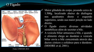  Maior glândula do corpo, pesando cerca de 
1.500g. localizado abaixo do diafragma 
nos quadrantes direto e esquerdo 
superiores, sendo sua maior porção no lado 
direito. 
 O fígado exerce diversas atividades 
metabólicas além de secretar a bile. 
 A vesícula biliar armazena a bile, e quando 
o alimento chega ao duodeno a vesícula 
biliar envia a bile concentrada através dos 
ductos císticos e colédoco para o duodeno. 
(MOORE et al, 2001). 
O Fígado 
Fonte: UNIFESP, 2014 
 