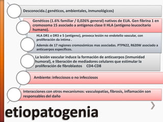 Desconocida.( genéticos, ambientales, inmunológicos)
Genéticos (1.6% familiar / 0,026% general) nativos de EUA. Gen fibrina 1 en
cromosoma 15 asociado a antígenos clase II HLA (antígeno leucocitario
humano).
HLA DR1 e DR3 e 5 (antígeno), provoca lesión no endotelio vascular, con
proliferación da intima .
Además de 17 regiones cromosómicas mas asociadas. PTPN22, R620W asociado a
anticuerpos específicos.
La lesión vascular induce la formación de anticuerpos (inmunidad
humoral), e liberación de mediadores celulares que estimular la
proliferación de fibroblastos CD4-CD8
Ambiente: infecciosos o no infecciosos
Interacciones con otros mecanismos: vasculopatías, fibrosis, inflamación son
responsables del daño
 