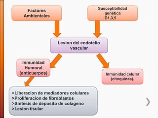 Factores
Ambientales
Susceptibilidad
genética
D1,3,5
Lesion del endotelio
vascular
Inmunidad celular
(citoquinas).
>Liberacion de mediadores celulares
>Proliferacion de fibroblastos
>Sintesis de deposito de colageno
>Lesion tisular
Inmunidad
Humoral
(anticuerpos)
 