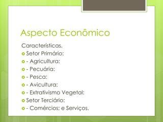 Aspecto Econômico
Características.
 Setor Primário:
 - Agricultura:
 - Pecuária:
 - Pesca:
 - Avicultura:
 - Extrativismo Vegetal:
 Setor Terciário:
 - Comércios; e Serviços.
 