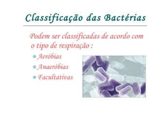 Classificação das Bactérias Podem ser classificadas de acordo com o tipo de respiração : Aeróbias Anaeróbias  Facultativas 