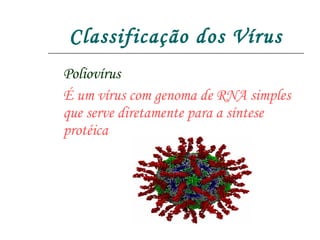 Classificação dos Vírus Poliovírus É um vírus com genoma de RNA simples que serve diretamente para a síntese protéica 