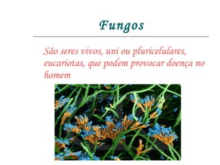 Fungos São seres vivos, uni ou pluricelulares, eucariotas, que podem provocar doença no homem 