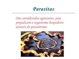 Parasitas São considerados agressores, pois prejudicam o organismo hospedeiro através do parasitismo 
