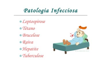 Patologia Infecciosa Leptospirose Tétano Brucelose Raiva Hepatite Tuberculose 