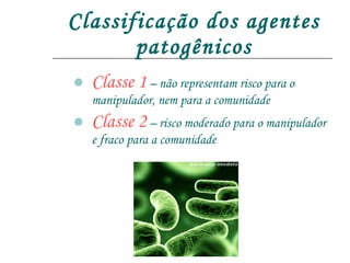 Classificação dos agentes patogênicos Classe 1  – não representam risco para o manipulador, nem para a comunidade Classe 2  – risco moderado para o manipulador e fraco para a comunidade 