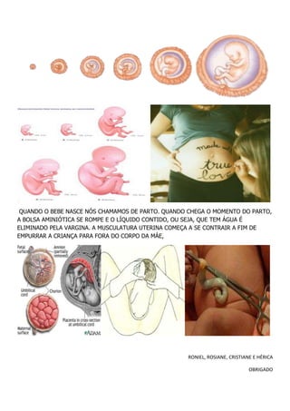QUANDO O BEBE NASCE NÓS CHAMAMOS DE PARTO. QUANDO CHEGA O MOMENTO DO PARTO,
A BOLSA AMINIÓTICA SE ROMPE E O LÍQUIDO CONTIDO, OU SEJA, QUE TEM ÁGUA É
ELIMINADO PELA VARGINA. A MUSCULATURA UTERINA COMEÇA A SE CONTRAIR A FIM DE
EMPURRAR A CRIANÇA PARA FORA DO CORPO DA MÁE,




                                                   RONIEL, ROSIANE, CRISTIANE E HÉRICA

                                                                            OBRIGADO
 