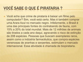 Você sabe o que é pirataria ?Você acha que crime de pirataria é baixar um filme pelo computador? Sim, você está certo. Mas é também comprar uma Arara Azul no mercado negro. Infelizmente, o Brasil é uma das principais fontes do contrabando de fauna, com 15% a 20% do total mundial. Mais de 12 milhões de animais são tirados a cada ano daqui, agravando o risco de extinção de 208 espécies. Pessoas que buscam exemplares raros, assim como a indústria farmacêutica, que compra espécies venenosas de aranhas e serpentes, estimulam o mercado internacional. Essa atividade é chamada de biopirataria.