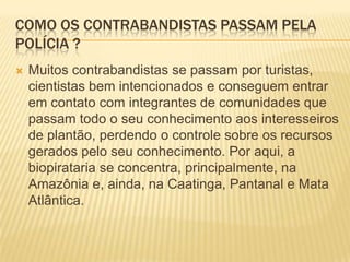 Como os contrabandistas passam pela polícia ?Muitos contrabandistas se passam por turistas, cientistas bem intencionados e conseguem entrar em contato com integrantes de comunidades que passam todo o seu conhecimento aos interesseiros de plantão, perdendo o controle sobre os recursos gerados pelo seu conhecimento. Por aqui, a biopirataria se concentra, principalmente, na Amazônia e, ainda, na Caatinga, Pantanal e Mata Atlântica.