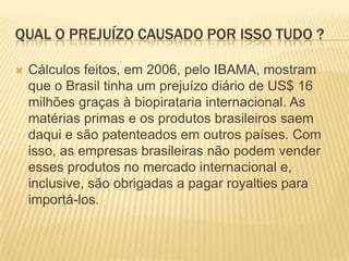Qual o prejuízo causado por isso tudo ?Cálculos feitos, em 2006, pelo IBAMA, mostram que o Brasil tinha um prejuízo diário de US$ 16 milhões graças à biopirataria internacional. As matérias primas e os produtos brasileiros saem daqui e são patenteados em outros países. Com isso, as empresas brasileiras não podem vender esses produtos no mercado internacional e, inclusive, são obrigadas a pagar royalties para importá-los.