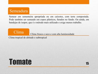 Tomate
Semeadura
Clima
Semear em sementeira apropriada ou em caixotes, com terra compostada.
Pode também ser semeado em copos plásticos, furados no fundo. Ou ainda, em
bandejas de isopor, que é o método mais utilizado e exige menos trabalho.
Clima tropical de altitude e subtropical
Clima fresco e seco e com alta luminosidade
15
 