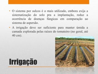 Irrigação
• O sistema por sulcos é o mais utilizado, embora exija a
sistematização do solo pra a implantação, reduz a
ocorrência de doenças fúngicas em comparação ao
sistema de aspersão.
• A irrigação deve ser suficiente para manter úmida a
camada explorada pelas raízes do tomateiro (no geral, até
40 cm).
18
 