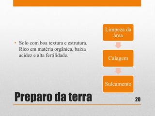 Preparo da terra
• Solo com boa textura e estrutura.
Rico em matéria orgânica, baixa
acidez e alta fertilidade.
Limpeza da
área
Calagem
Sulcamento
20
 