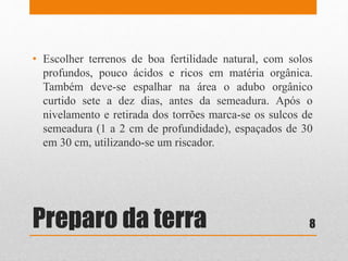 Preparo da terra
• Escolher terrenos de boa fertilidade natural, com solos
profundos, pouco ácidos e ricos em matéria orgânica.
Também deve-se espalhar na área o adubo orgânico
curtido sete a dez dias, antes da semeadura. Após o
nivelamento e retirada dos torrões marca-se os sulcos de
semeadura (1 a 2 cm de profundidade), espaçados de 30
em 30 cm, utilizando-se um riscador.
8
 