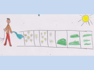 O jardim curioso – Peter Brown - ilustrações: B2.1