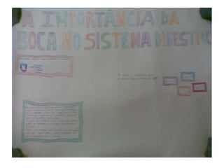 Trabalhos Alunos Roda Dos Alimentos