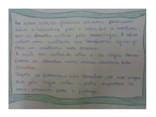 Trabalhos Alunos Roda Dos Alimentos